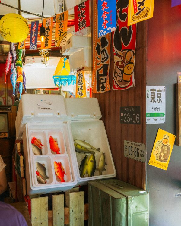 UMAMI-6